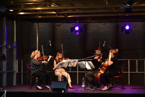 koncert Týn nad Vltavou, 7.9.2022